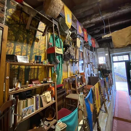 Dpcristal Centro Historico 萨里亚